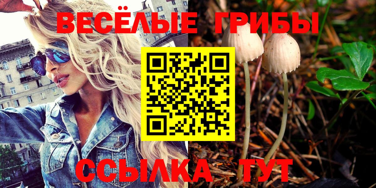 Галлюциногенные грибы мицелий  Вход с VPN  Протвино 